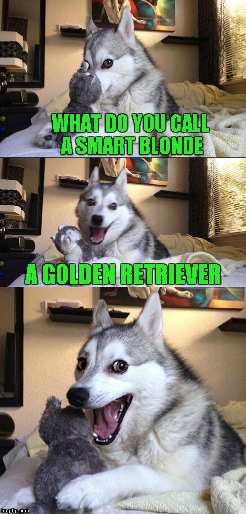 Bad Pun Dog Meme | WHAT DO YOU CALL A SMART BLONDE A GOLDEN RETRIEVER | image tagged in memes,bad pun dog | made w/ Imgflip meme maker