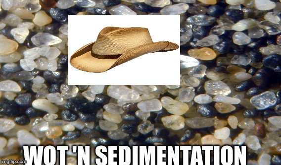 WOT 'N SEDIMENTATION | image tagged in what in tarnation | made w/ Imgflip meme maker
