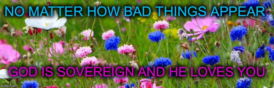 NO MATTER HOW BAD THINGS APPEAR; GOD IS SOVEREIGN AND HE LOVES YOU | image tagged in flowers | made w/ Imgflip meme maker