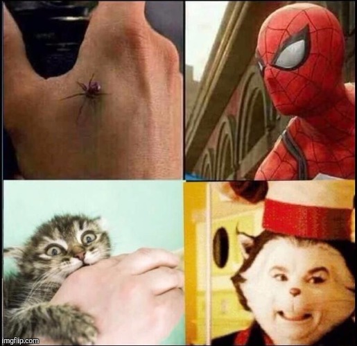 Now I get it! This is how it happened!   | image tagged in memes,funny,spiderman,cat in the hat,animals | made w/ Imgflip meme maker
