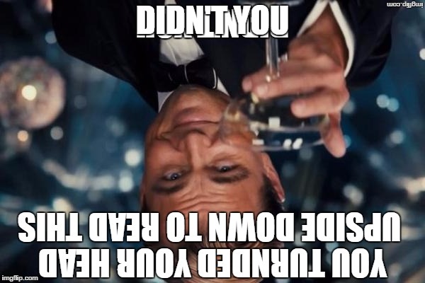 DIDN'T YOU | image tagged in leonardo dicaprio cheers | made w/ Imgflip meme maker