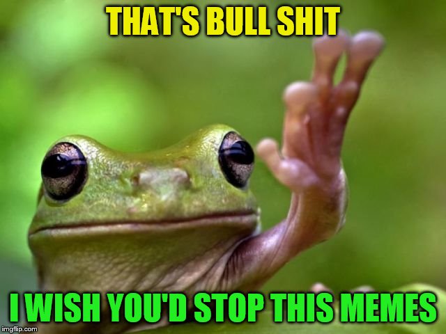 THAT'S BULL SHIT I WISH YOU'D STOP THIS MEMES | made w/ Imgflip meme maker