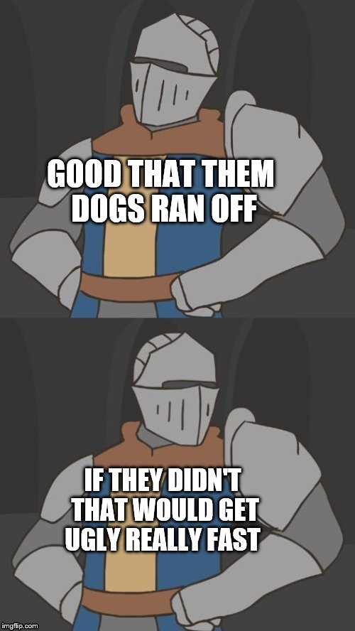 So what do we do now? | GOOD THAT THEM DOGS RAN OFF IF THEY DIDN'T THAT WOULD GET UGLY REALLY FAST | image tagged in so what do we do now | made w/ Imgflip meme maker