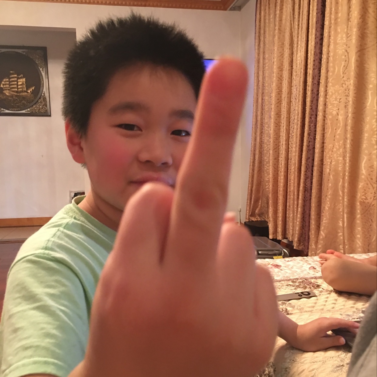 High Quality Middle finger kid Blank Meme Template