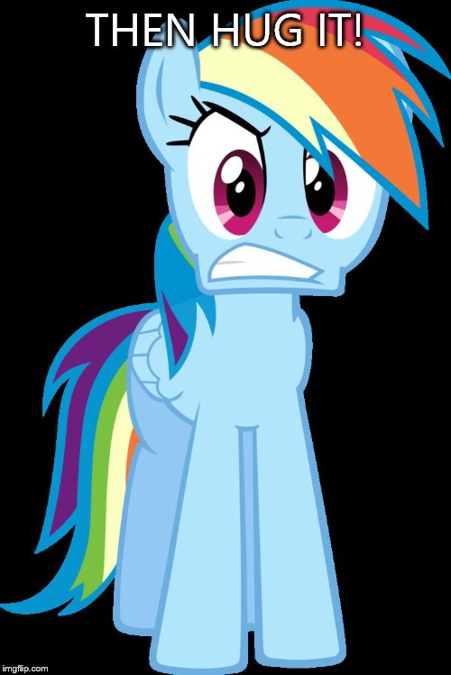 mad Rainbow Dash | THEN HUG IT! | image tagged in mad rainbow dash | made w/ Imgflip meme maker