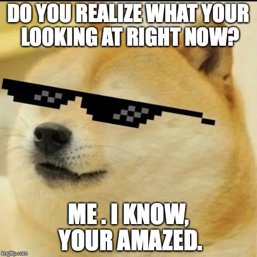 Sunglass Doge | DO YOU REALIZE WHAT YOUR LOOKING AT RIGHT NOW? ME . I KNOW, YOUR AMAZED. | image tagged in sunglass doge | made w/ Imgflip meme maker