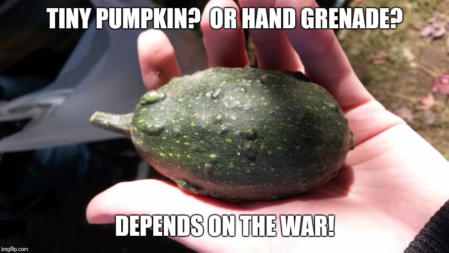TINY PUMPKIN?  OR HAND GRENADE? DEPENDS ON THE WAR! | image tagged in tiny pumpkin grenade | made w/ Imgflip meme maker