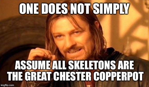 One Does Not Simply Meme | ONE DOES NOT SIMPLY ASSUME ALL SKELETONS ARE THE GREAT CHESTER COPPERPOT | image tagged in memes,one does not simply | made w/ Imgflip meme maker