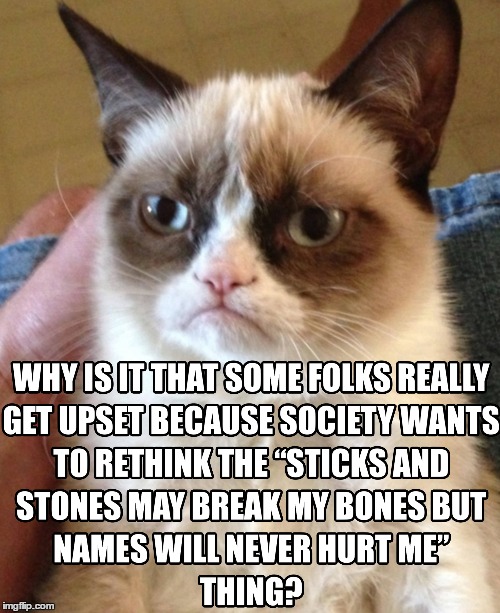 Snowflakes! Really? | image tagged in living | made w/ Imgflip meme maker