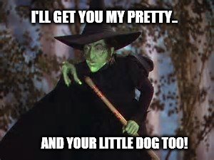 I'll Get You | I'LL GET YOU MY PRETTY.. AND YOUR LITTLE DOG TOO! | image tagged in wicked witch | made w/ Imgflip meme maker