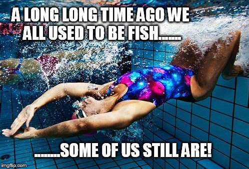 STAY CALM AND JUST SWIM |  A LONG LONG TIME AGO WE ALL USED TO BE FISH....... ........SOME OF US STILL ARE! | image tagged in swimmer,just keep swimming,meme,sport memes,swimming | made w/ Imgflip meme maker