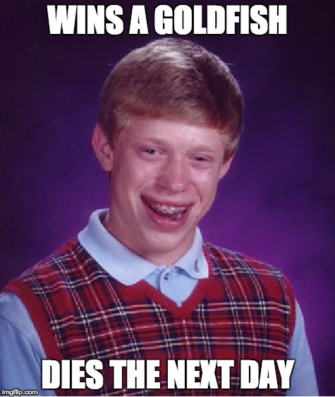 Has this ever happened to you? | WINS A GOLDFISH; DIES THE NEXT DAY | image tagged in memes,bad luck brian | made w/ Imgflip meme maker