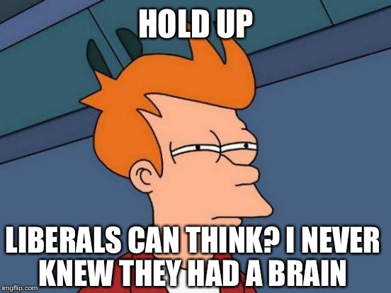 Futurama Fry Meme | HOLD UP LIBERALS CAN THINK? I NEVER KNEW THEY HAD A BRAIN | image tagged in memes,futurama fry | made w/ Imgflip meme maker