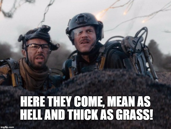 Bill Paxton mean as hell | HERE THEY COME, MEAN AS HELL AND THICK AS GRASS! | image tagged in bill-paxton-edge-of-tomorrow-5,memes,grass,thick,hell | made w/ Imgflip meme maker