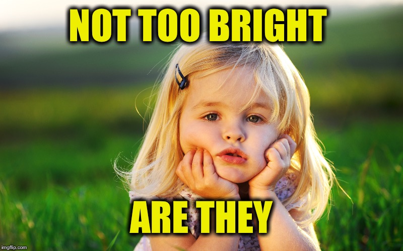 NOT TOO BRIGHT ARE THEY | made w/ Imgflip meme maker