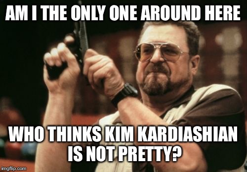 Am I The Only One Around Here | AM I THE ONLY ONE AROUND HERE; WHO THINKS KIM KARDIASHIAN IS NOT PRETTY? | image tagged in memes,am i the only one around here | made w/ Imgflip meme maker