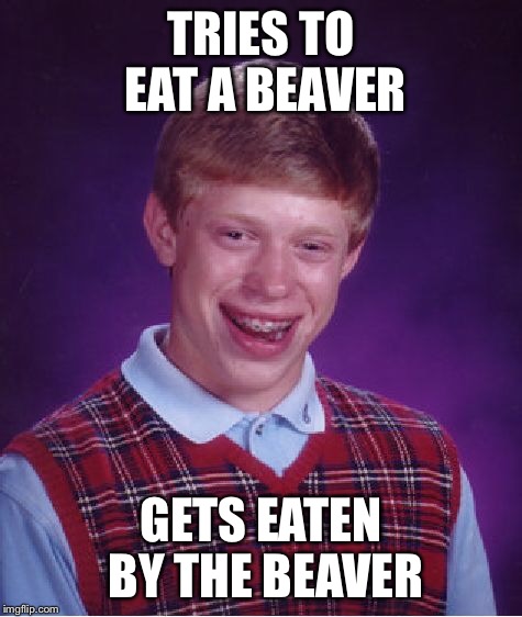 Bad Luck Brian Meme | TRIES TO EAT A BEAVER GETS EATEN BY THE BEAVER | image tagged in memes,bad luck brian | made w/ Imgflip meme maker