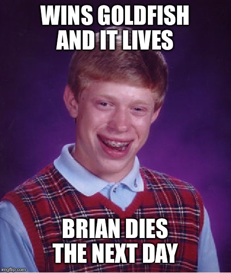 Bad Luck Brian Meme | WINS GOLDFISH AND IT LIVES BRIAN DIES THE NEXT DAY | image tagged in memes,bad luck brian | made w/ Imgflip meme maker