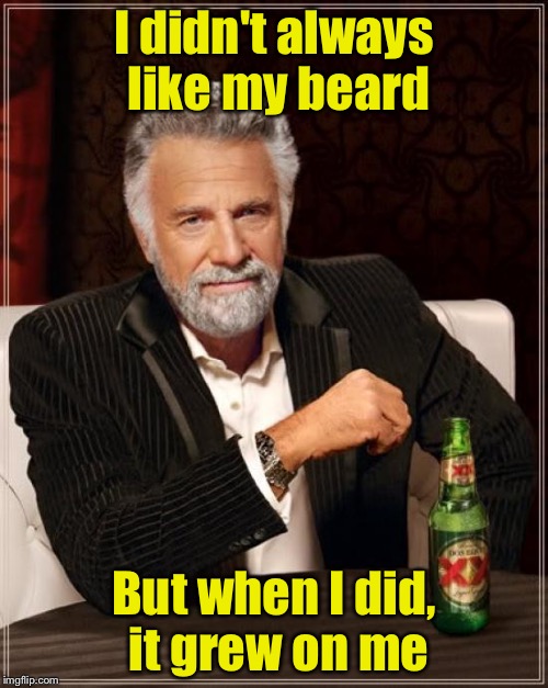 The Most Interesting Man In The World | I didn't always like my beard; But when I did, it grew on me | image tagged in memes,the most interesting man in the world | made w/ Imgflip meme maker