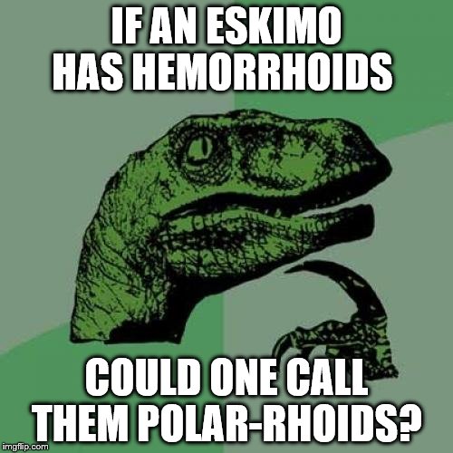 Philosoraptor...... Sit On The Ice Cap......aaaaah.....! | IF AN ESKIMO HAS HEMORRHOIDS; COULD ONE CALL THEM POLAR-RHOIDS? | image tagged in memes,philosoraptor | made w/ Imgflip meme maker