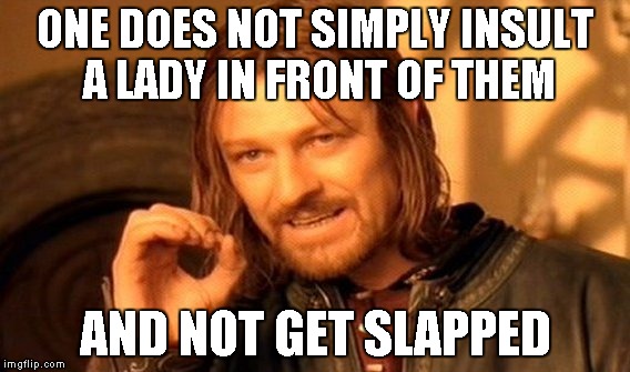 One Does Not Simply Meme | ONE DOES NOT SIMPLY INSULT A LADY IN FRONT OF THEM AND NOT GET SLAPPED | image tagged in memes,one does not simply | made w/ Imgflip meme maker