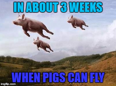 pigs fly | IN ABOUT 3 WEEKS WHEN PIGS CAN FLY | image tagged in pigs fly | made w/ Imgflip meme maker