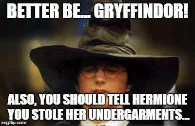 The sorting hat can read your mind. | BETTER BE... GRYFFINDOR! ALSO, YOU SHOULD TELL HERMIONE YOU STOLE HER UNDERGARMENTS... | image tagged in harry potter sorting hat,memes,funny memes,funny because it's true,hermione granger,undergarments | made w/ Imgflip meme maker