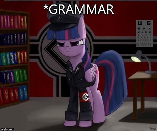 grammer nazi | *GRAMMAR | image tagged in grammer nazi | made w/ Imgflip meme maker