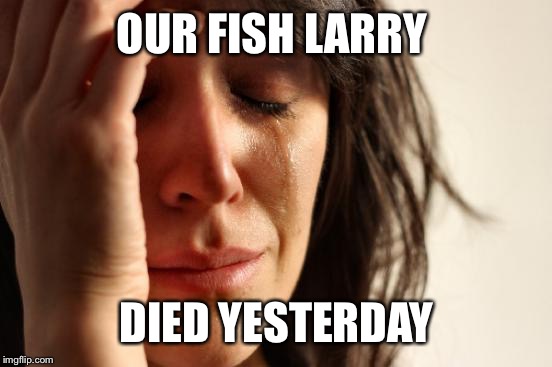 First World Problems Meme | OUR FISH LARRY DIED YESTERDAY | image tagged in memes,first world problems | made w/ Imgflip meme maker