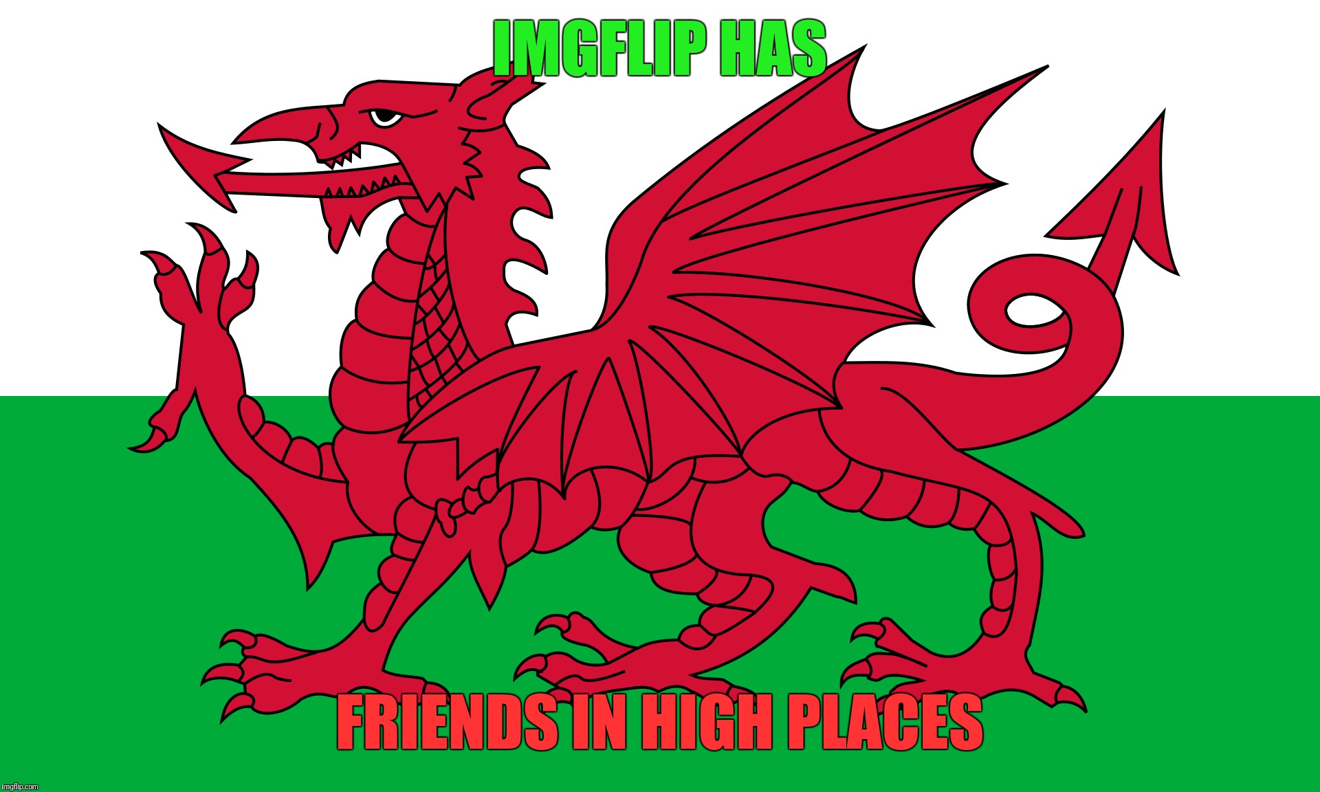 Dragon appreciation meme | IMGFLIP HAS; FRIENDS IN HIGH PLACES | image tagged in memes,terms of service,the dragons are watching,year of the dragon,enter the dragon | made w/ Imgflip meme maker