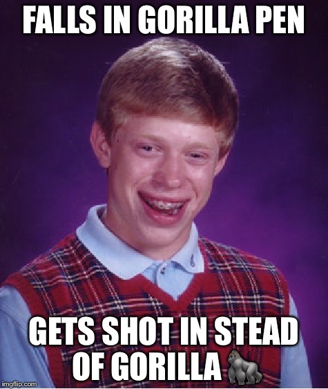Bad Luck Brian | FALLS IN GORILLA PEN; GETS SHOT IN STEAD OF GORILLA 🦍 | image tagged in memes,bad luck brian | made w/ Imgflip meme maker