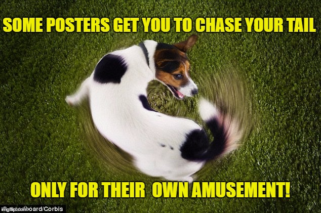 SOME POSTERS GET YOU TO CHASE YOUR TAIL; ONLY FOR THEIR  OWN AMUSEMENT! | image tagged in chasing tail | made w/ Imgflip meme maker