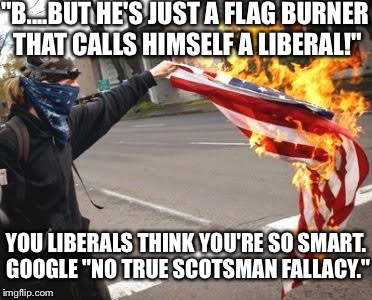 Liberals | "B....BUT HE'S JUST A FLAG BURNER THAT CALLS HIMSELF A LIBERAL!"; YOU LIBERALS THINK YOU'RE SO SMART. GOOGLE "NO TRUE SCOTSMAN FALLACY." | image tagged in liberals | made w/ Imgflip meme maker