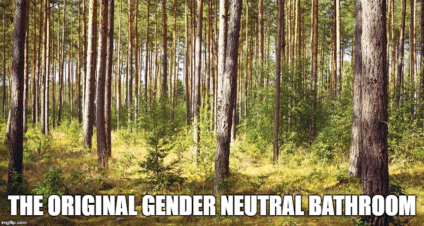  THE ORIGINAL GENDER NEUTRAL BATHROOM | image tagged in transgender bathroom,bathroom,transgender,woods | made w/ Imgflip meme maker