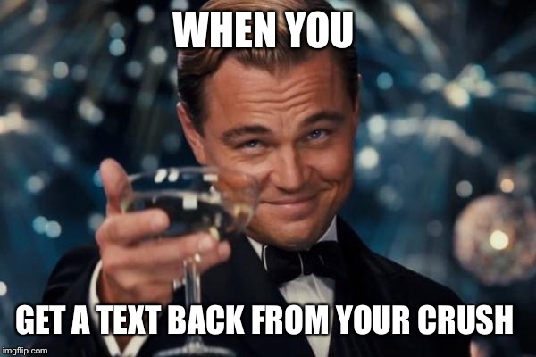 Leonardo Dicaprio Cheers Meme | WHEN YOU; GET A TEXT BACK FROM YOUR CRUSH | image tagged in memes,leonardo dicaprio cheers | made w/ Imgflip meme maker