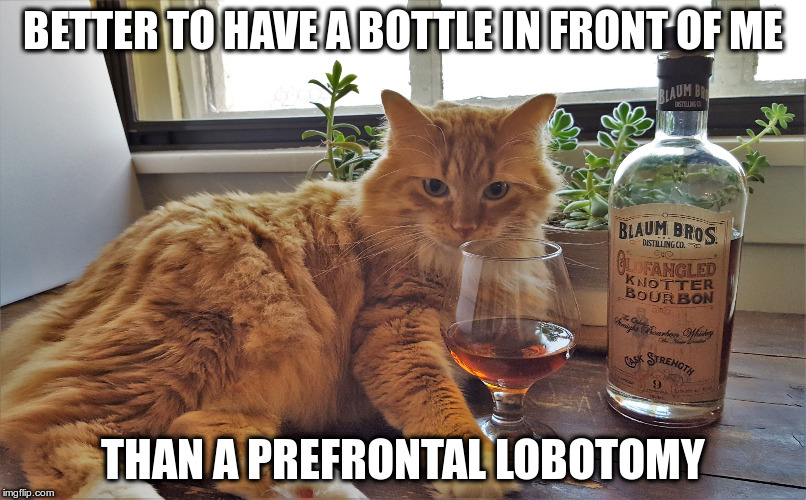 BETTER TO HAVE A BOTTLE IN FRONT OF ME; THAN A PREFRONTAL LOBOTOMY | image tagged in kitty | made w/ Imgflip meme maker