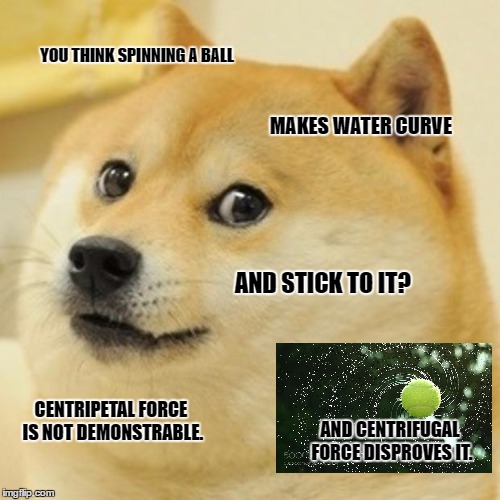 Doge Meme | YOU THINK SPINNING A BALL; MAKES WATER CURVE; AND STICK TO IT? CENTRIPETAL FORCE IS NOT DEMONSTRABLE. AND CENTRIFUGAL FORCE DISPROVES IT. | image tagged in memes,doge | made w/ Imgflip meme maker