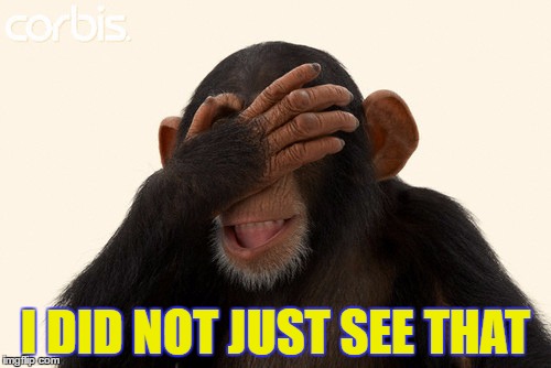 Monkey Not See | I DID NOT JUST SEE THAT | image tagged in monkey,not,see this | made w/ Imgflip meme maker