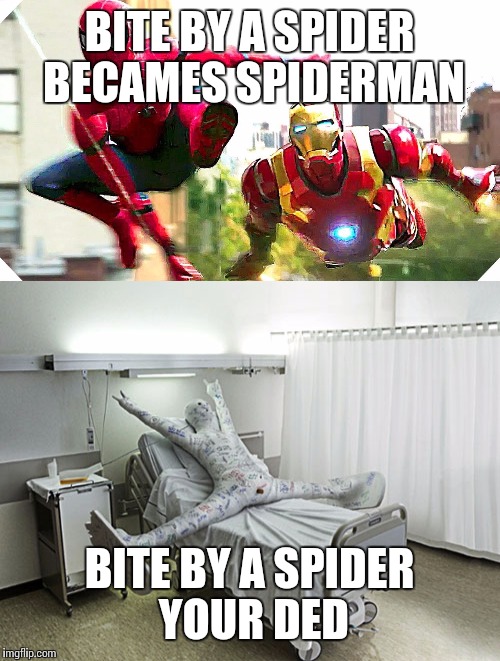 Your spiderman | BITE BY A SPIDER BECAMES SPIDERMAN; BITE BY A SPIDER YOUR DED | image tagged in marvel | made w/ Imgflip meme maker