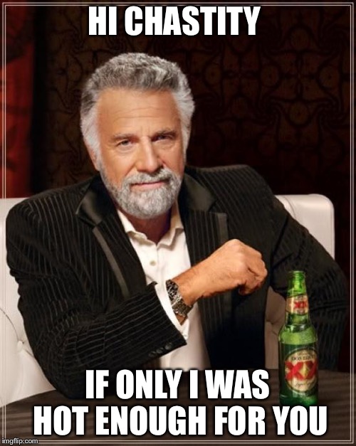 The Most Interesting Man In The World Meme | HI CHASTITY; IF ONLY I WAS HOT ENOUGH FOR YOU | image tagged in memes,the most interesting man in the world | made w/ Imgflip meme maker