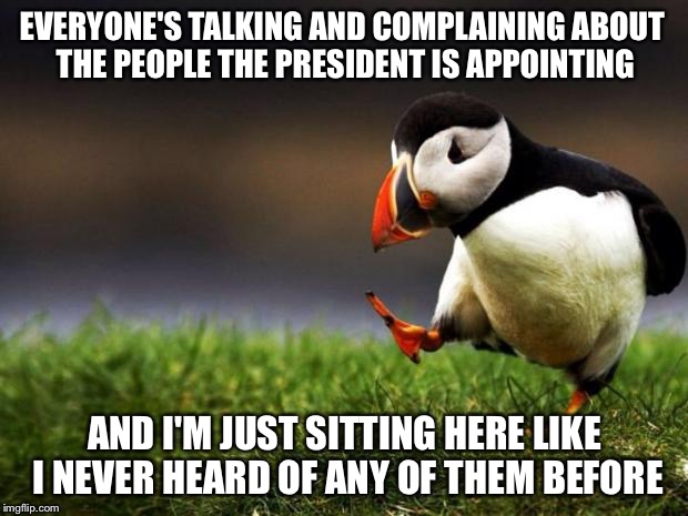 Unpopular Opinion Puffin | EVERYONE'S TALKING AND COMPLAINING ABOUT THE PEOPLE THE PRESIDENT IS APPOINTING; AND I'M JUST SITTING HERE LIKE I NEVER HEARD OF ANY OF THEM BEFORE | image tagged in memes,unpopular opinion puffin | made w/ Imgflip meme maker
