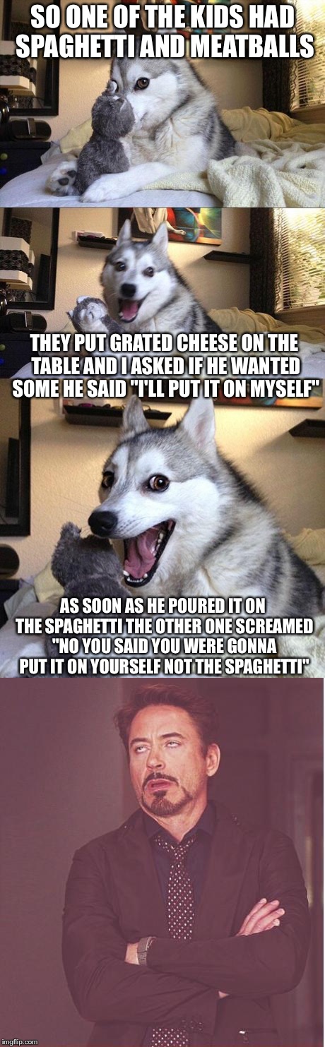 SO ONE OF THE KIDS HAD SPAGHETTI AND MEATBALLS; THEY PUT GRATED CHEESE ON THE TABLE AND I ASKED IF HE WANTED SOME HE SAID "I'LL PUT IT ON MYSELF"; AS SOON AS HE POURED IT ON THE SPAGHETTI THE OTHER ONE SCREAMED "NO YOU SAID YOU WERE GONNA PUT IT ON YOURSELF NOT THE SPAGHETTI" | image tagged in bad pun dog,face you make robert downey jr,memes | made w/ Imgflip meme maker