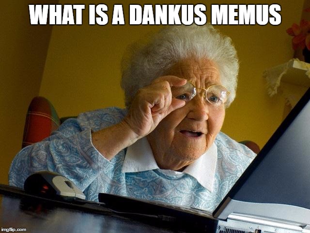 Grandma Finds The Internet | WHAT IS A DANKUS MEMUS | image tagged in memes,grandma finds the internet | made w/ Imgflip meme maker