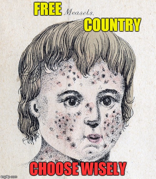 FREE                                               COUNTRY CHOOSE WISELY | made w/ Imgflip meme maker