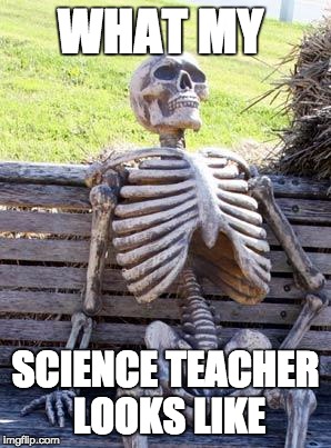 Waiting Skeleton Meme | WHAT MY; SCIENCE TEACHER LOOKS LIKE | image tagged in memes,waiting skeleton | made w/ Imgflip meme maker