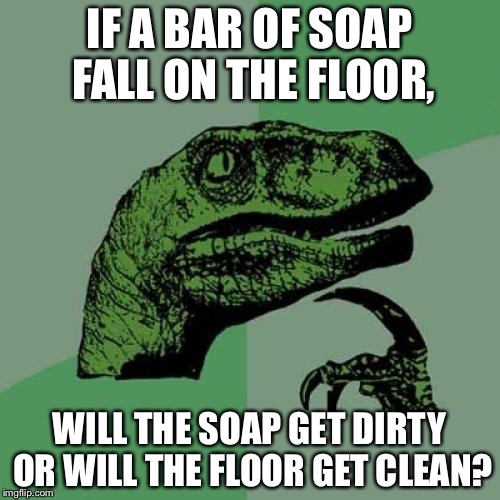 Soap. Enough said. | IF A BAR OF SOAP FALL ON THE FLOOR, WILL THE SOAP GET DIRTY OR WILL THE FLOOR GET CLEAN? | image tagged in memes,philosoraptor | made w/ Imgflip meme maker