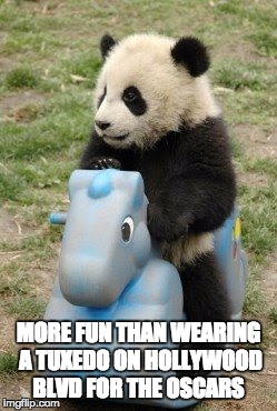 Riding Panda | MORE FUN THAN WEARING A TUXEDO ON HOLLYWOOD BLVD FOR THE OSCARS | image tagged in riding panda | made w/ Imgflip meme maker