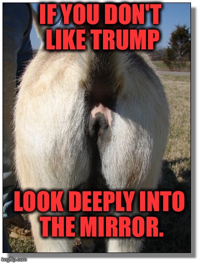Libtard Mirror | IF YOU DON'T LIKE TRUMP; LOOK DEEPLY INTO THE MIRROR. | image tagged in libtard mirror | made w/ Imgflip meme maker