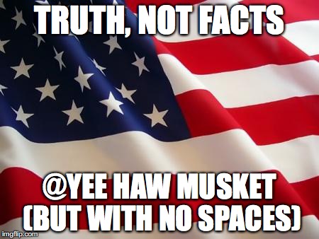 American flag | TRUTH, NOT FACTS; @YEE HAW MUSKET (BUT WITH NO SPACES) | image tagged in american flag | made w/ Imgflip meme maker