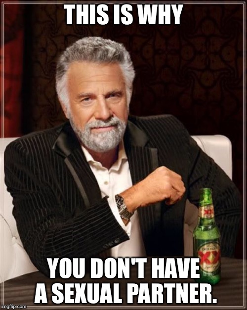 The Most Interesting Man In The World Meme | THIS IS WHY YOU DON'T HAVE A SEXUAL PARTNER. | image tagged in memes,the most interesting man in the world | made w/ Imgflip meme maker